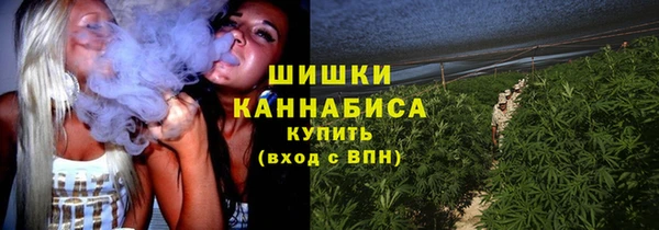 ГАЛЛЮЦИНОГЕННЫЕ ГРИБЫ Волосово