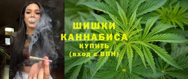 метадон Вяземский