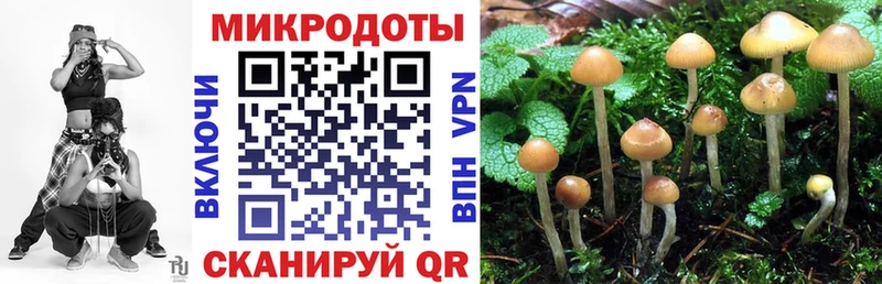 Псилоцибиновые грибы MAGIC MUSHROOMS закладки Афипский